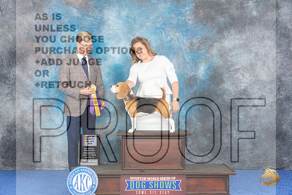 Beagle 15 #6 WED BOV Judge Douglas Johnson__JP_6580_Houston_2024_HR3