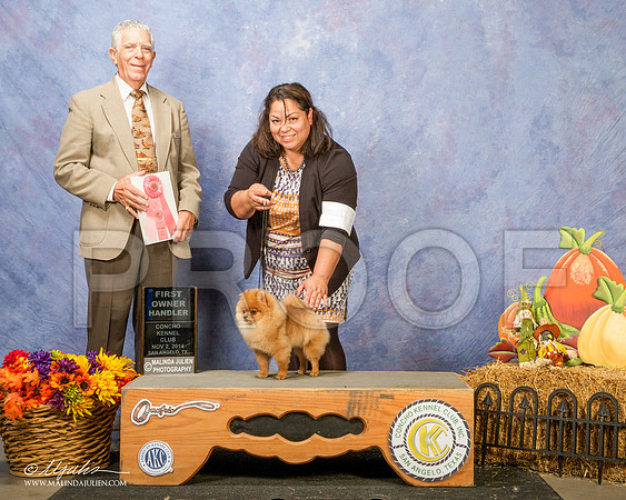 _CL_4649 - Version 2-SanAngelo2014-HR3