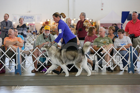 _JJ_1790-DallasJul2014-HR3