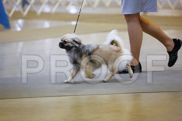 _JN_0056-AmarilloSept2014-HR3