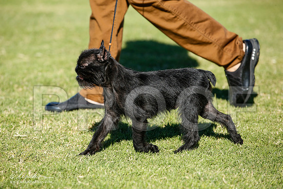 _JJ_6646-AlamogordoOct2014-HR3