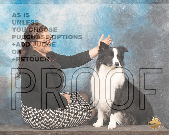 Border Collie #11 Thurs Jodie KeenerMMJ_2751_Mdlnd2022_HR3