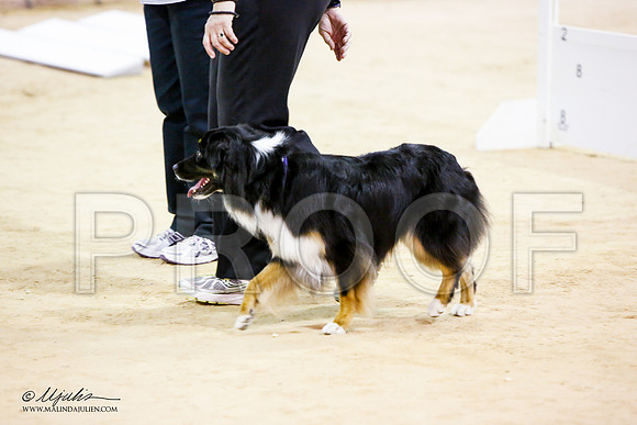 _JN_7529-ASCACollegeStationNov2014-HR3