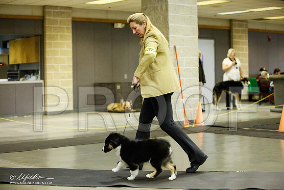 _JJ_6230-BeltonJan2015IABCA-HR3