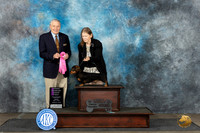 Dachshund Wire #5 Sun Judge OHG1 Judge David Bolus