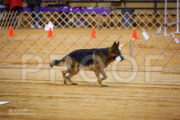 GSD-5072-MrshllDec13-HR