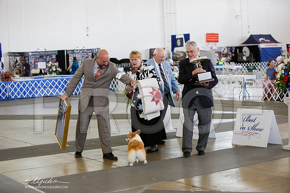 _JJ_3407-DallasJul2014-HR3