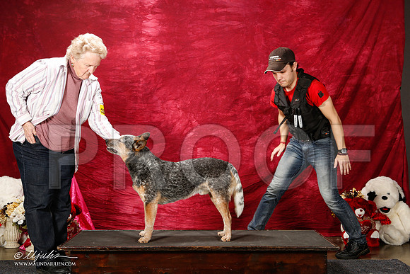 _ST_2926-2-BeltonJan2015IABCA-HR3