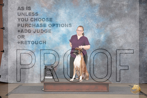 Boxer #476 Sat NCh Judge Jennnifer Landers__JP_2610_LongviewTX_2024_HR3