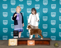 Eileen Wood UKC Western Classic