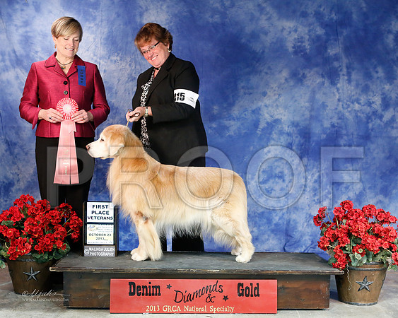 Vet-6342-WFOct2013-HR