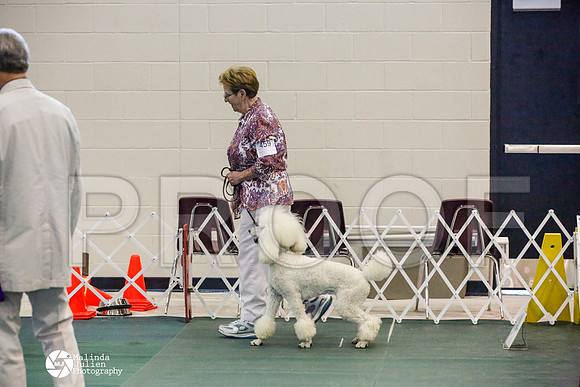 _JJ_5206-BsrCtyJun2014-HR3