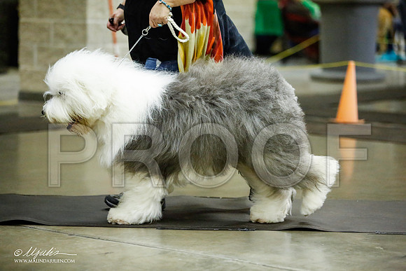 _JJ_6195-BeltonJan2015IABCA-HR3