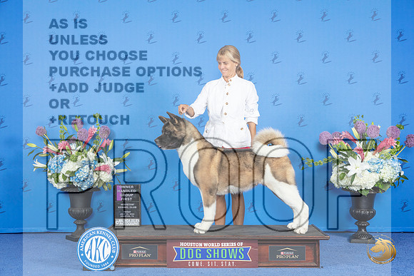 Akita #8 FRI OHG1 Judge Nancy Liebes__JP_9398_Houston_2024_HR3