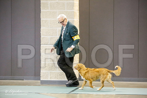 _LH_3105-BeltonJan2015-HR3