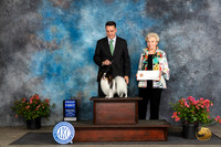 Papillion #23 Fri G1 Judge Wendy Willhauck