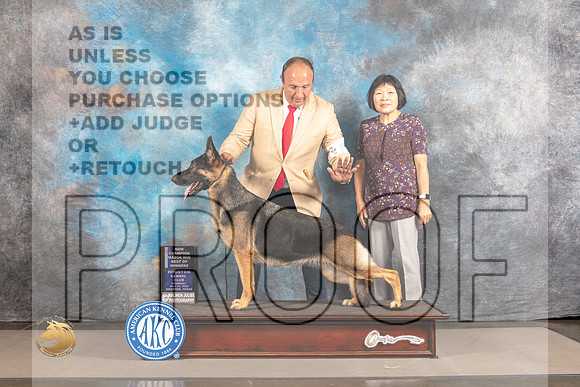 German Shepherd Dog #20 THUR WBBOW Judge Polly Smith_MJ_3519_Houston_2022_HR3
