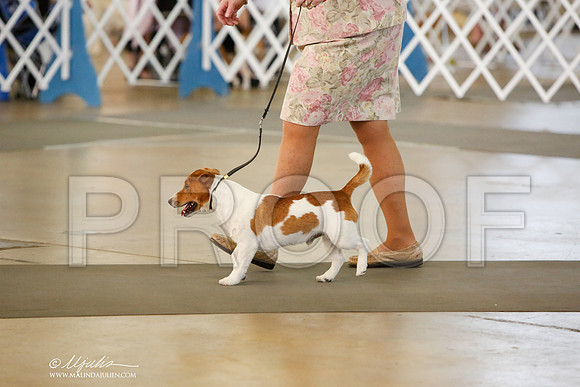 _JJ_7954-DallasJul2014-HR3