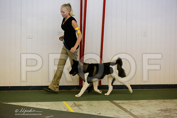 _RH_3629-DntnJun2014-HR3