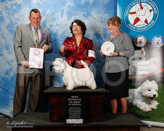 _ST_5575-2-FWMar2015-HR3