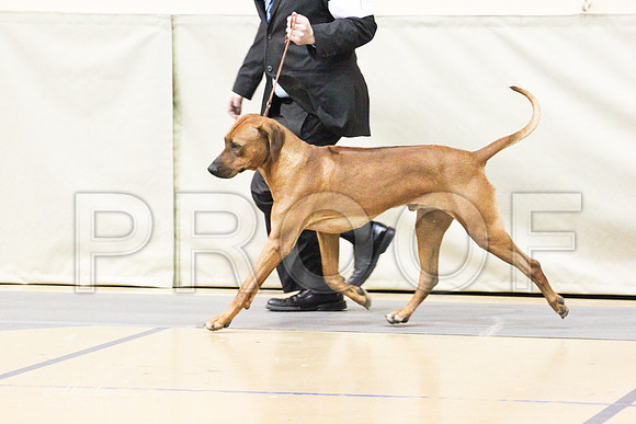 Ridgeback-9222LR