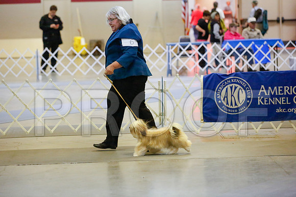 _JJ_8202-AmarilloSept2014-HR3