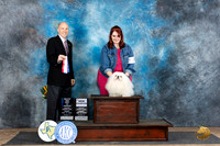 Pekingese #5 Fri BOWM Judge Larry Abbott