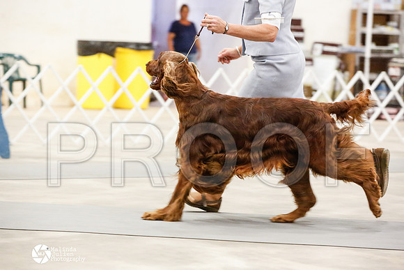 _JN_0649-AblnMay2014-web
