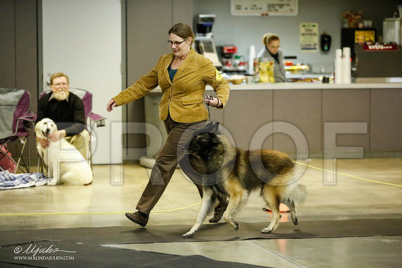 _JJ_6132-BeltonJan2015IABCA-HR3