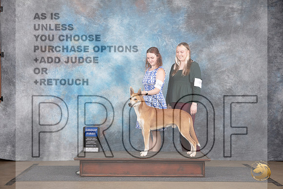 Carolina Dog #346 Sat BOB G1 Judge Matthew Proctor__JP_2633_LongviewTX_2024_HR3