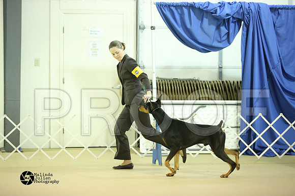 Dobe-0291-HtoJan14-HR
