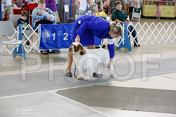 _JN_1477-DallasJul2014-HR3