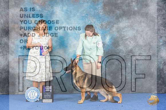 German Shepherd Dog #30 WED WBM Judge Danelle Brown__JP_6981_Houston_2024_HR3