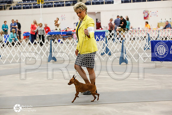 _CK_8896-AblnMay2014-web
