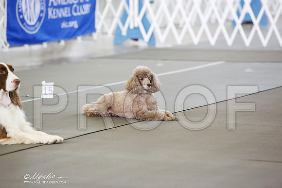 _JN_8398-DallasJul2014-HR3