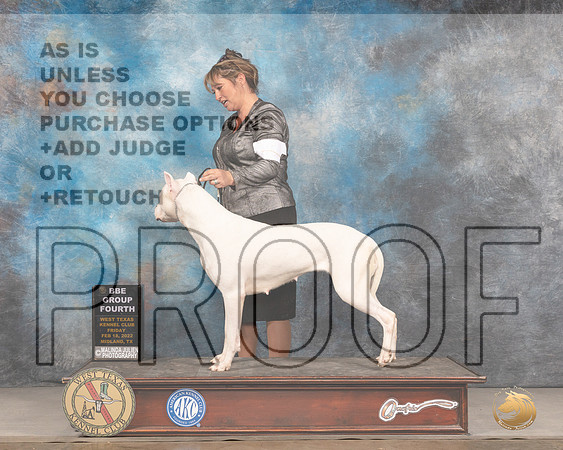 Dogo Argentino #10 Fri BBEG4 Judge Denny MounceMMJ_3440_Mdlnd2022_HR3