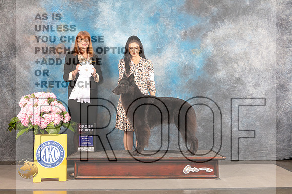 Belgian Sheepdog #10 THUR G4 Judge Linda Hurlebaus_MJ_4438_Houston_2022_HR3