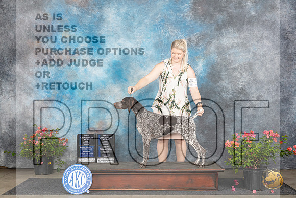German Shorthaired Pointer #22 Sun WBMCH Judge Elizabeth ‘Beth’ Sweigart Christie Martinez Victor Rosado__JP_5810_San Antonio_2024_HR3