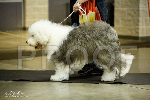 _JJ_6198-BeltonJan2015IABCA-HR3