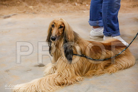 _MJ_2742-AfgBeltonOct2014-HR3