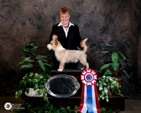 Portuguese Podengo Sat Custom Portrait