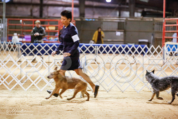 _JN_4260-2-GlenRoseJan2015-HR3