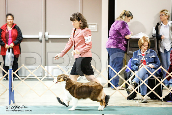 _JJ_1389-ASCACollegeStationNov2014-HR3
