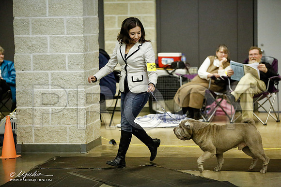 _JJ_5728-BeltonJan2015IABCA-HR3
