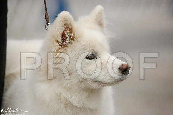_M3_5881-MidFeb2015-HR3