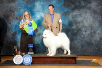 Samoyed #5 Sat G1 Judge Denise Dean