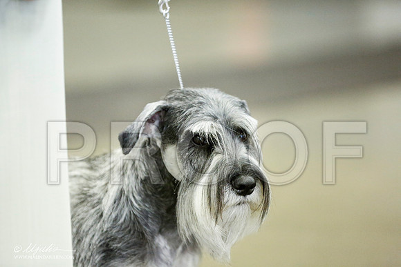 _RH_1829-BeltonJan2015IABCA-HR3