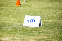 Toy Group SAT Ring