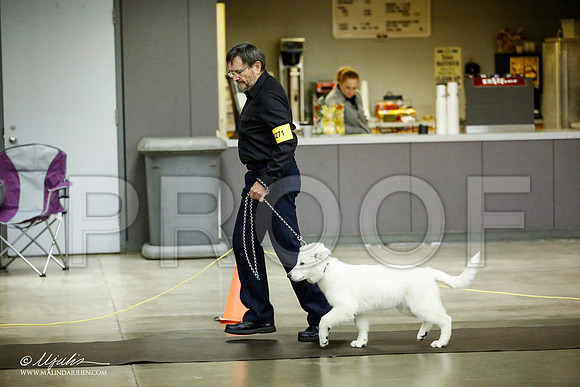 _JJ_6162-BeltonJan2015IABCA-HR3