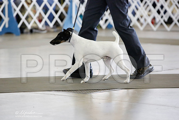 _JN_4133-DallasJul2014-HR3